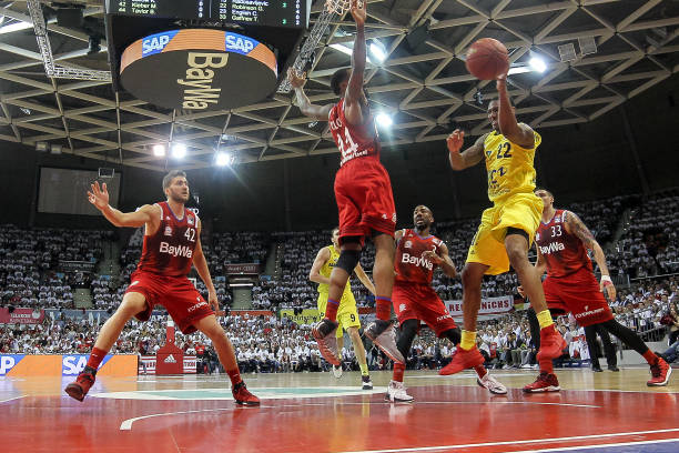 的鲜花都温 的鲜花都温