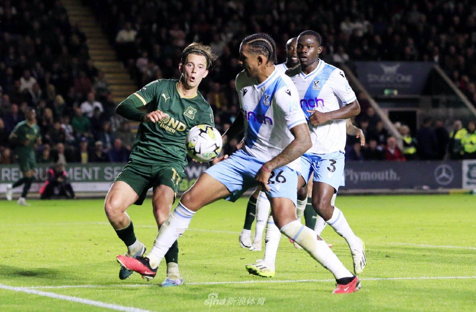 期待这些青 期待这些青